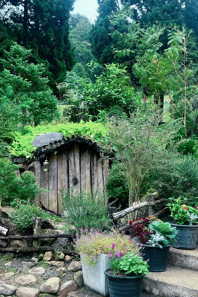 清邁親子遊 依山而建的詩麗吉皇后植物園妥妥的大氧吧