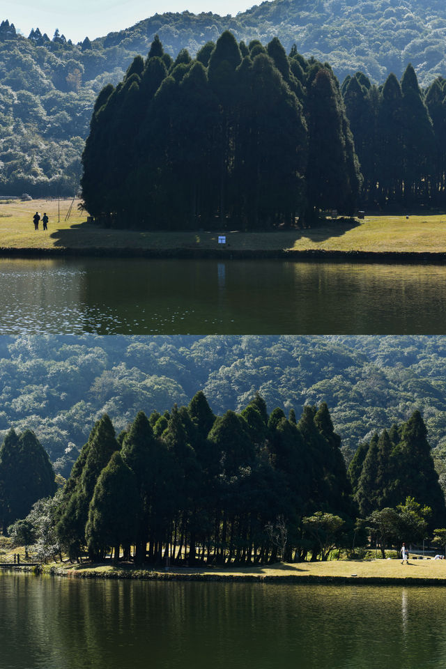 廣西玉林小眾森林公園，仿若來到北歐「森系秘境」