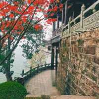✨石鼓書院探秘：穿越千年的文化之旅📚🌳