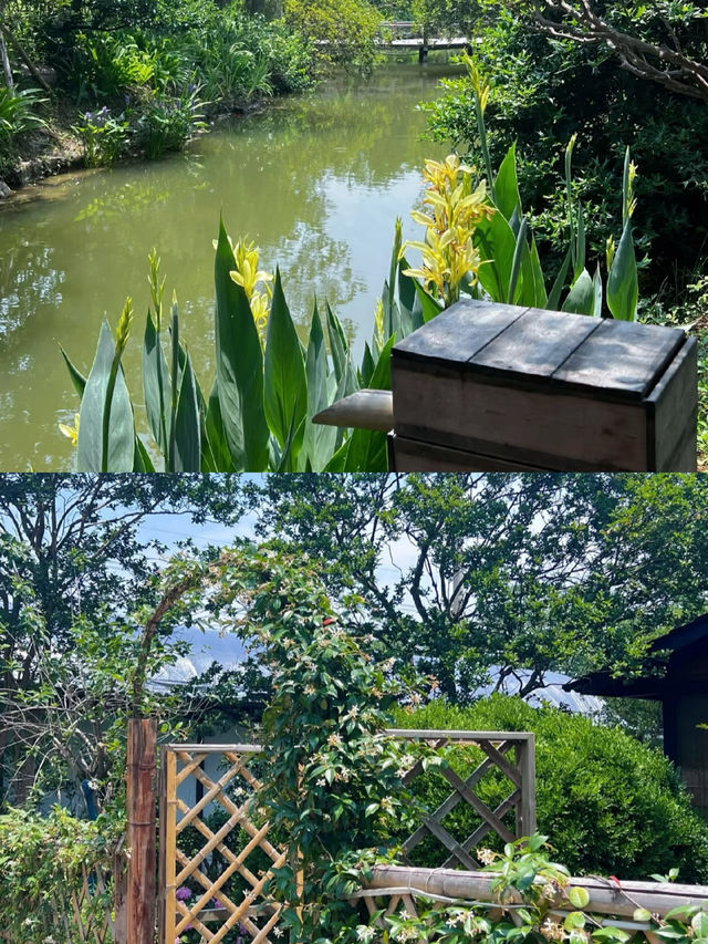 荊門秋日浪漫旅行，一起來體驗這美好時光吧
