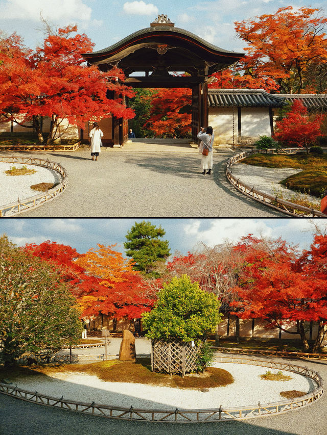京都·二尊院紅葉的馬場｜體驗和服之美！