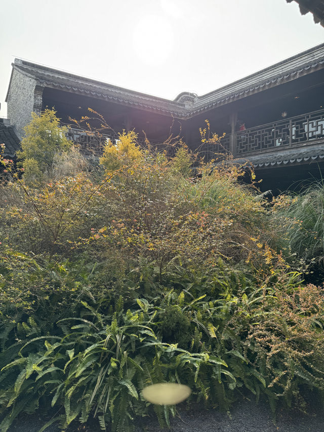 南園一尺花園