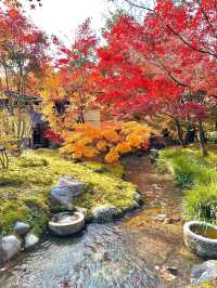 春節去日本 5天暢玩攻略來啦