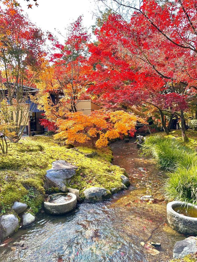 春節去日本 5天暢玩攻略來啦