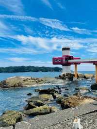日本高知 | 小眾寶藏地的深度探索攻略