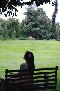 Discover the Enchanting Royal Botanical Gardens in Kandy, Sri Lanka