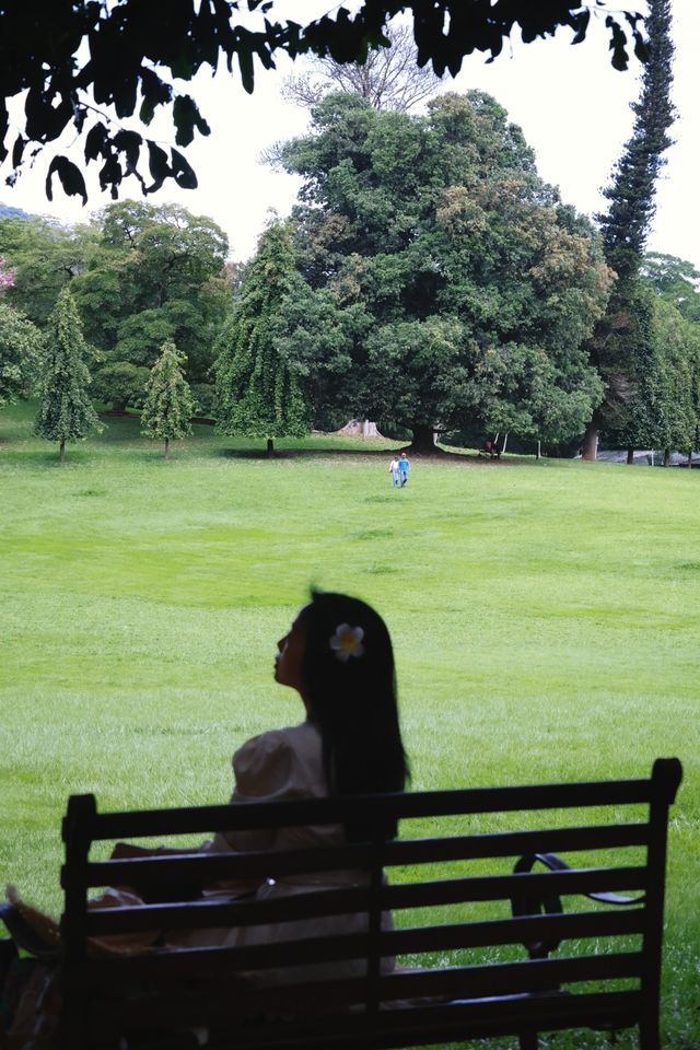 Discover the Enchanting Royal Botanical Gardens in Kandy, Sri Lanka