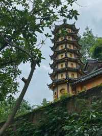 深圳園山，不只是景區，更是心靈的治癒聖地！