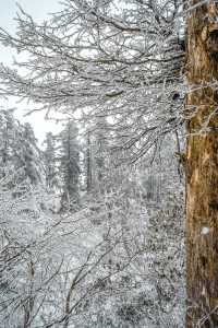被低估嘅冰雪王國（瓦屋山）