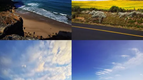 科羅曼德爾:新西蘭的詩畫半島 — traveler post in 科羅曼德爾