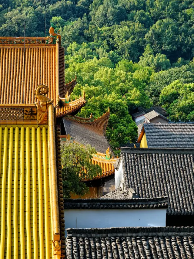蘇州-烏鎮-杭州｜3日暢遊 玩轉江南水鄉不踩雷