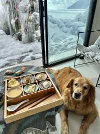 不在禾木！人均200雪景酒店值不值得