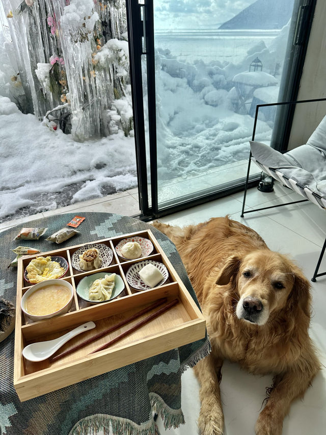 不在禾木！人均200雪景酒店值不值得