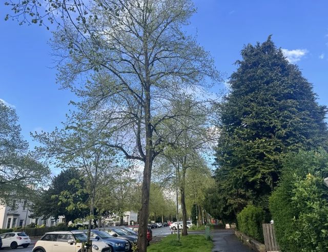 皇家利明頓礦泉市：流淌著歷史與奢華的英倫小鎮