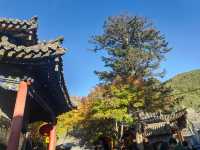 到了山西怎麼能不去五台山呢