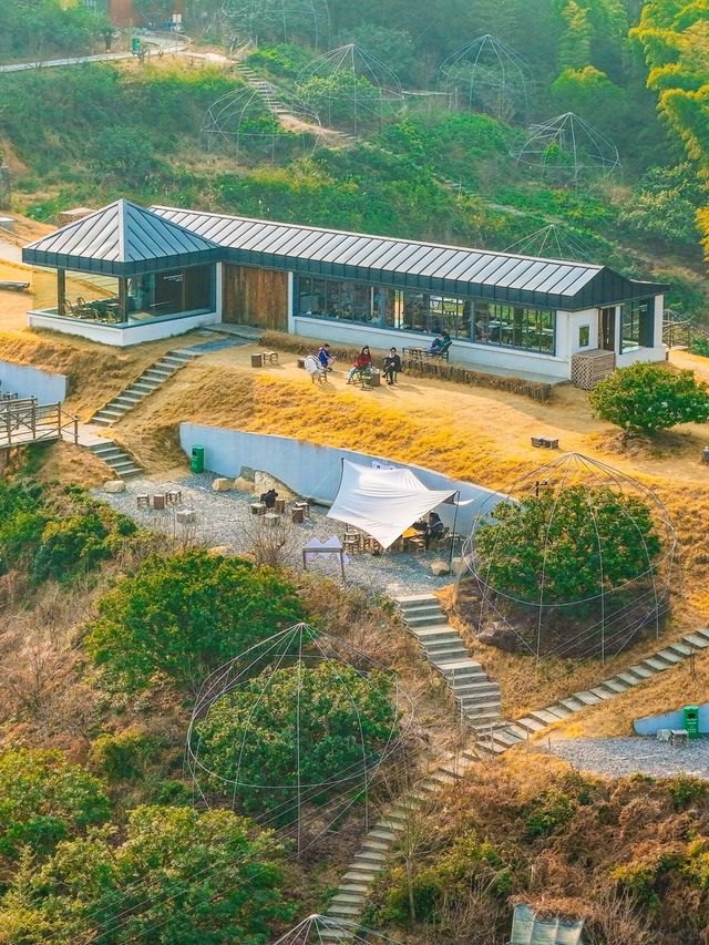 都市人逃離計劃，一鍵切換山系生活暫別KPI
