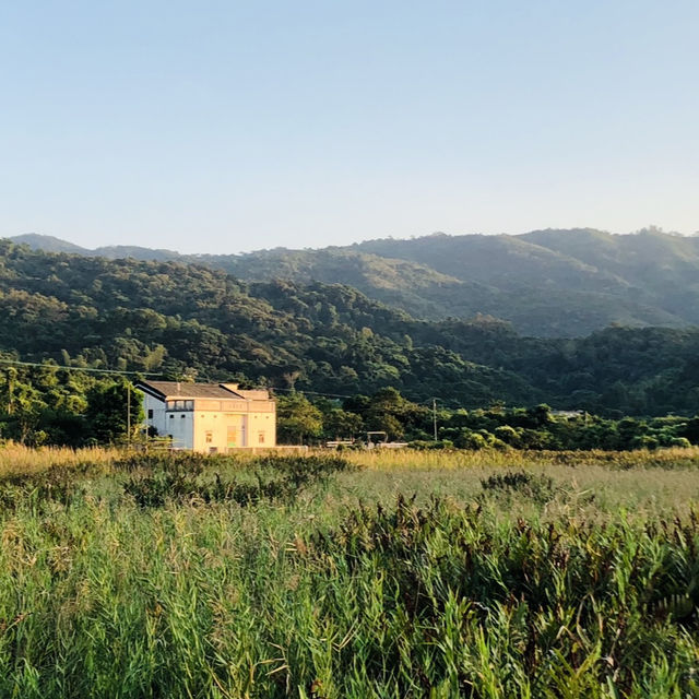 秘境漫步：新界鹿頸至谷埔的溫馨之旅🌸