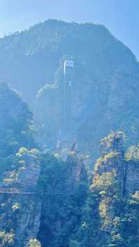 "大瑤山盤王界：這裡的雲海和佛光，真的能讓你震撼嗎？"