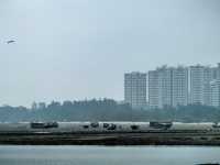 海南行—解放海南四十軍第一潛渡登陸點