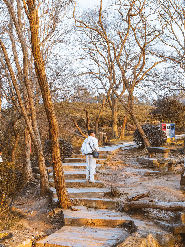 比起雞鳴寺，我更愛這個1500年歷史南朝佛寺