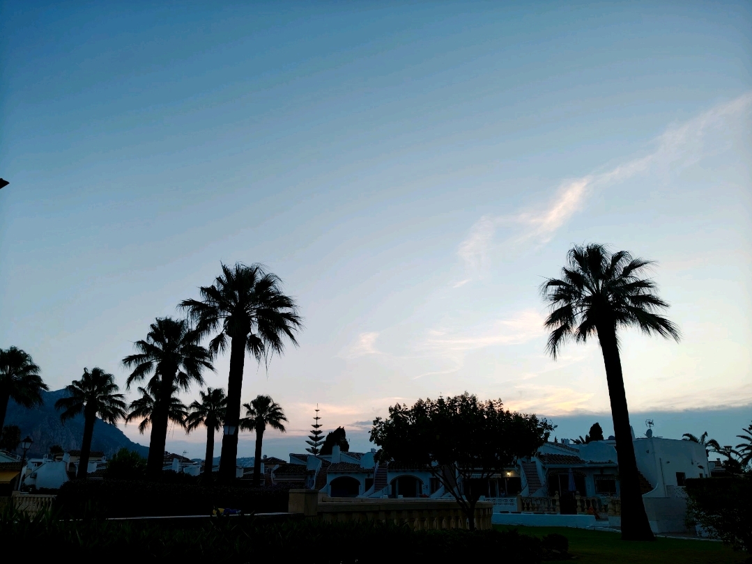 丹尼亞的輕鬆夏日之旅 🌞🌴