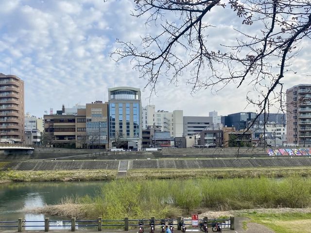探秘日本福井：自然美景與文化遺產的完美融合