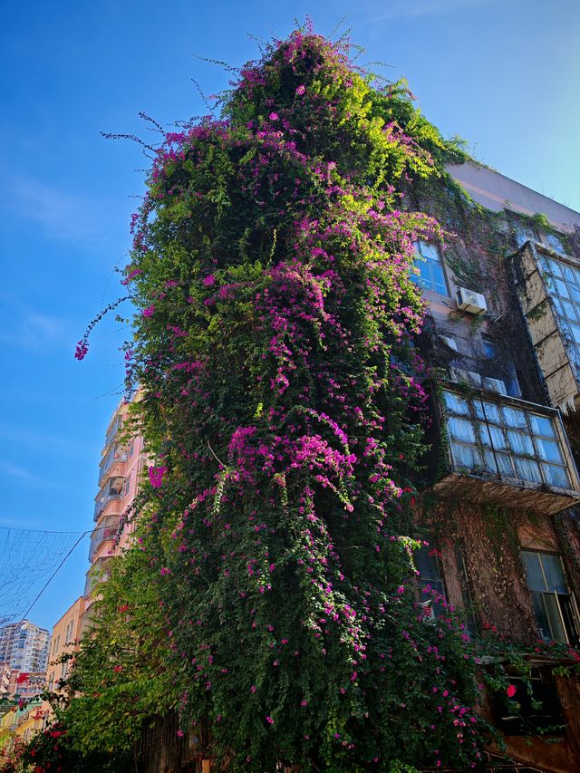 深圳City walk必到景點大芬油畫村