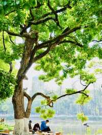 Kunming Attractions 