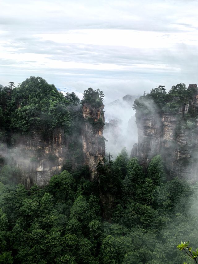 煙雨濛濛張家界