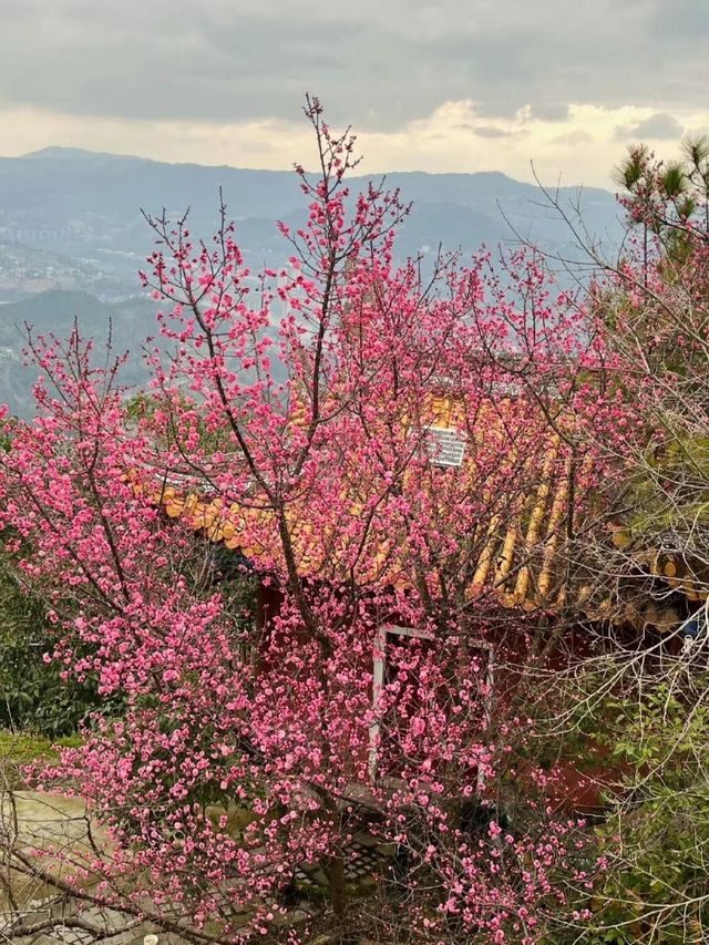 四川驚現小眾寶藏地——佛頭山，絕對值得一遊！