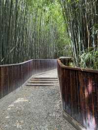 Worlds of Wonder At Hamilton Gardens, You Can’t Miss this!