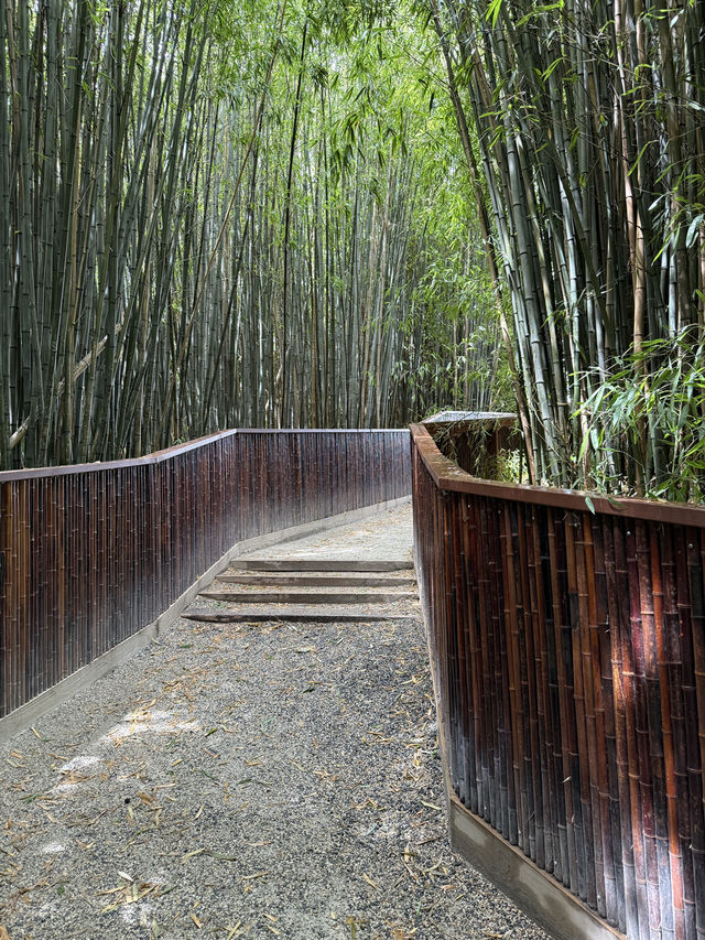 Worlds of Wonder At Hamilton Gardens, You Can’t Miss this!