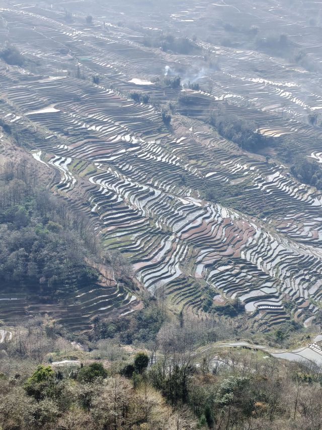 4天暢遊羅平-彌勒-碧色寨 超詳細攻略來啦