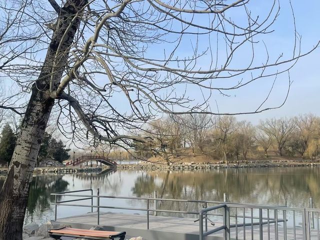 圓明園遺址公園
