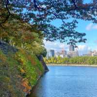 🇯🇵大阪城公園 天守閣 五彩秋葉與綿延山脈