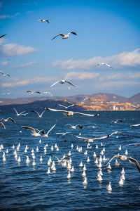 大理單車遊,請務必從這裡開始!