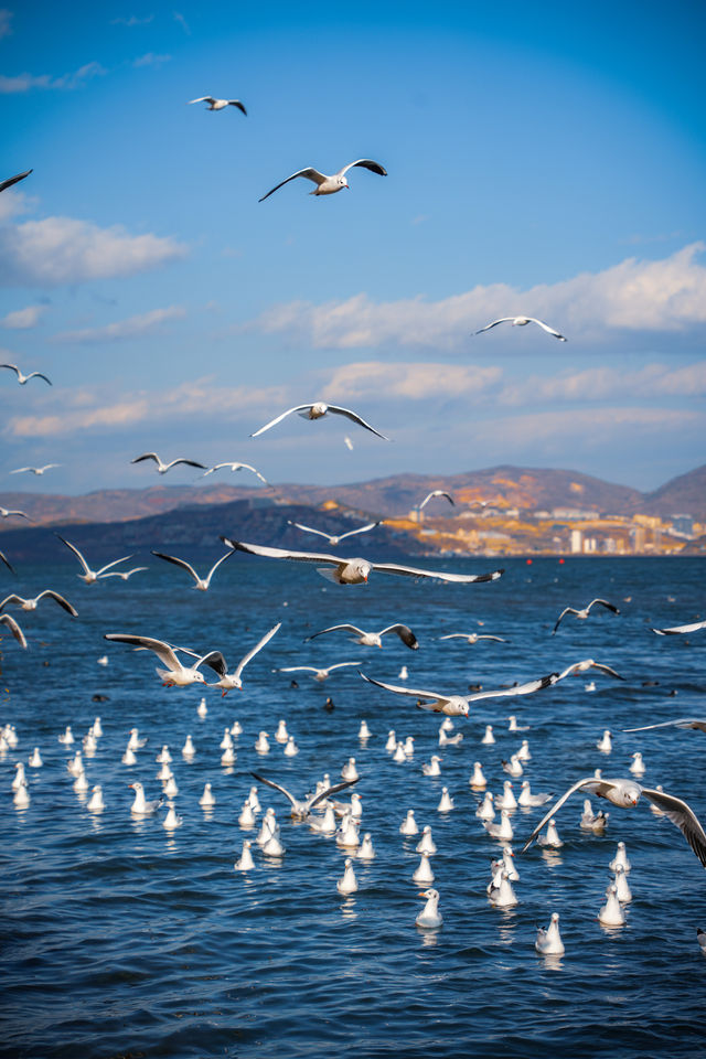 大理單車遊,請務必從這裡開始! 大理單車遊,請務必從這裡開始!