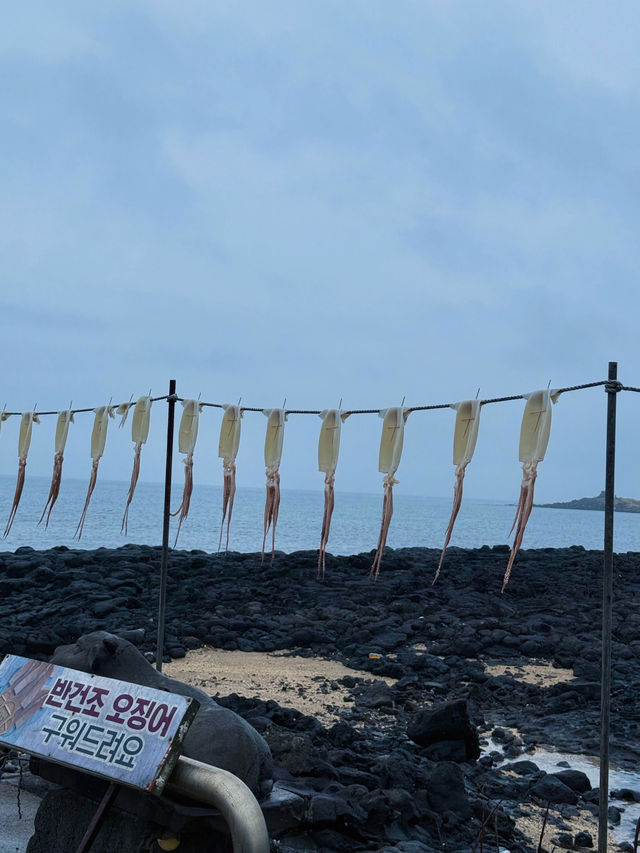 打破常規！牛島旅遊不走尋常路玩法全揭秘