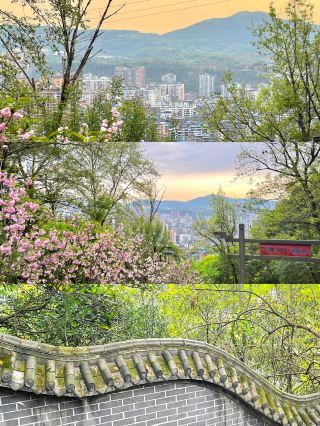 Pink petals cover the mountains.