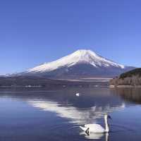 被富士山環抱的一天 | 我拍到了漫畫裡的場景！