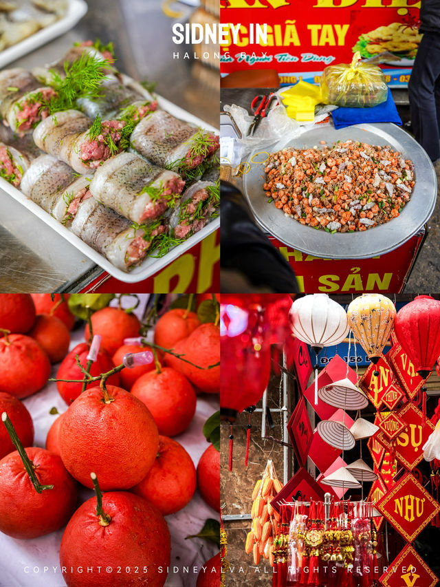 🇻🇳99%的人錯過的下龍灣！私藏1️⃣日漫遊路線