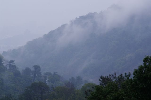 雨中上山探西湖茶園