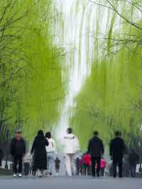江南煙雨篇——西湖春天