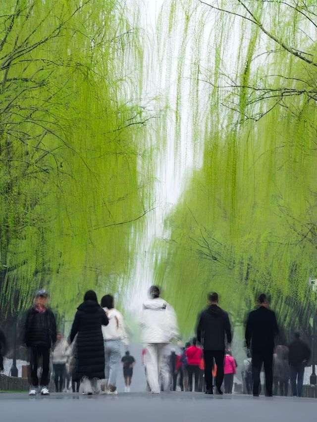 江南煙雨篇——西湖春天