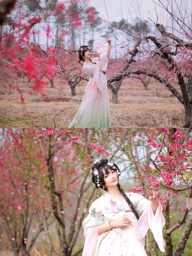 反向賞花攻略｜十里桃花嘅連州，你收埋得咁深