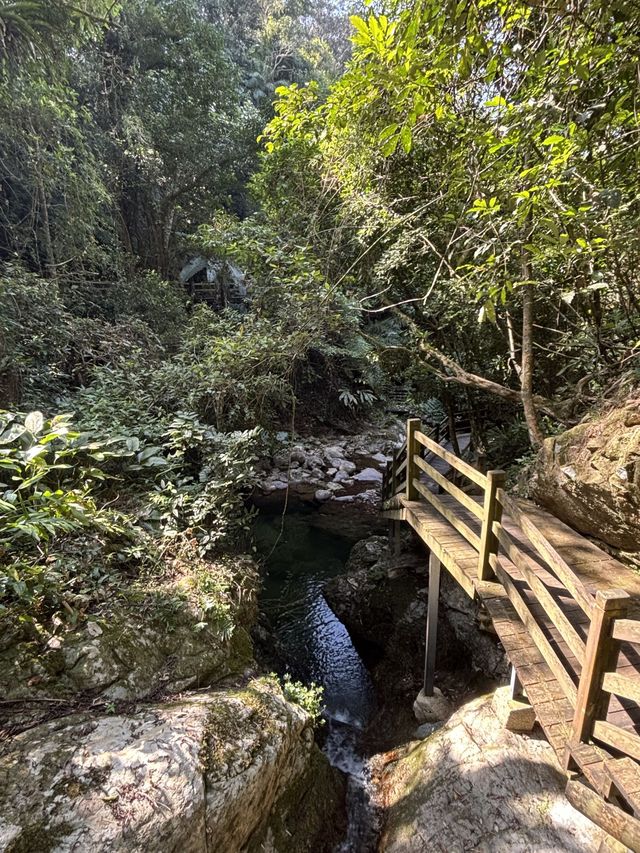 清明踏春五指山等你來探秘