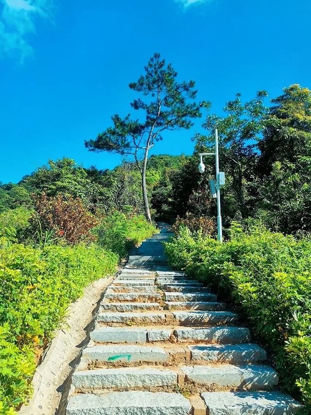 深圳陽臺山森林公園 | 城市中的自然寶藏