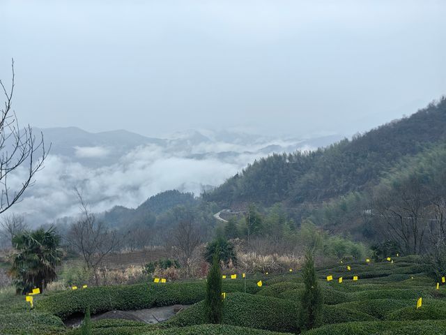 尋找徽州下一個旅行目的地，休寧金龍山
