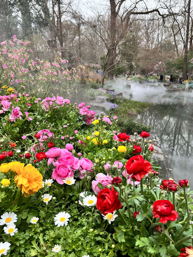別擠雞鳴寺了，這裡才是南京賞櫻天花板！