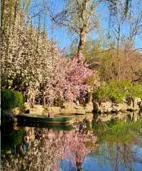 濟南五龍潭公園，靚到突破天際啦！原圖直出嘅春日盛宴